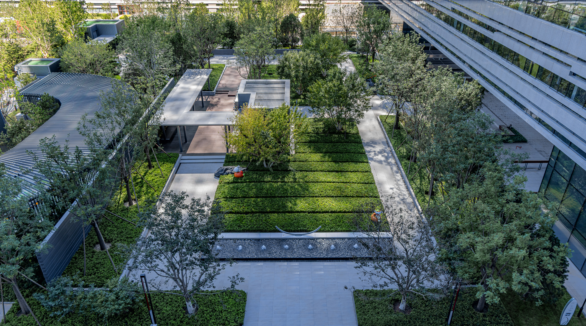 5 © 栾·摄影.jpg