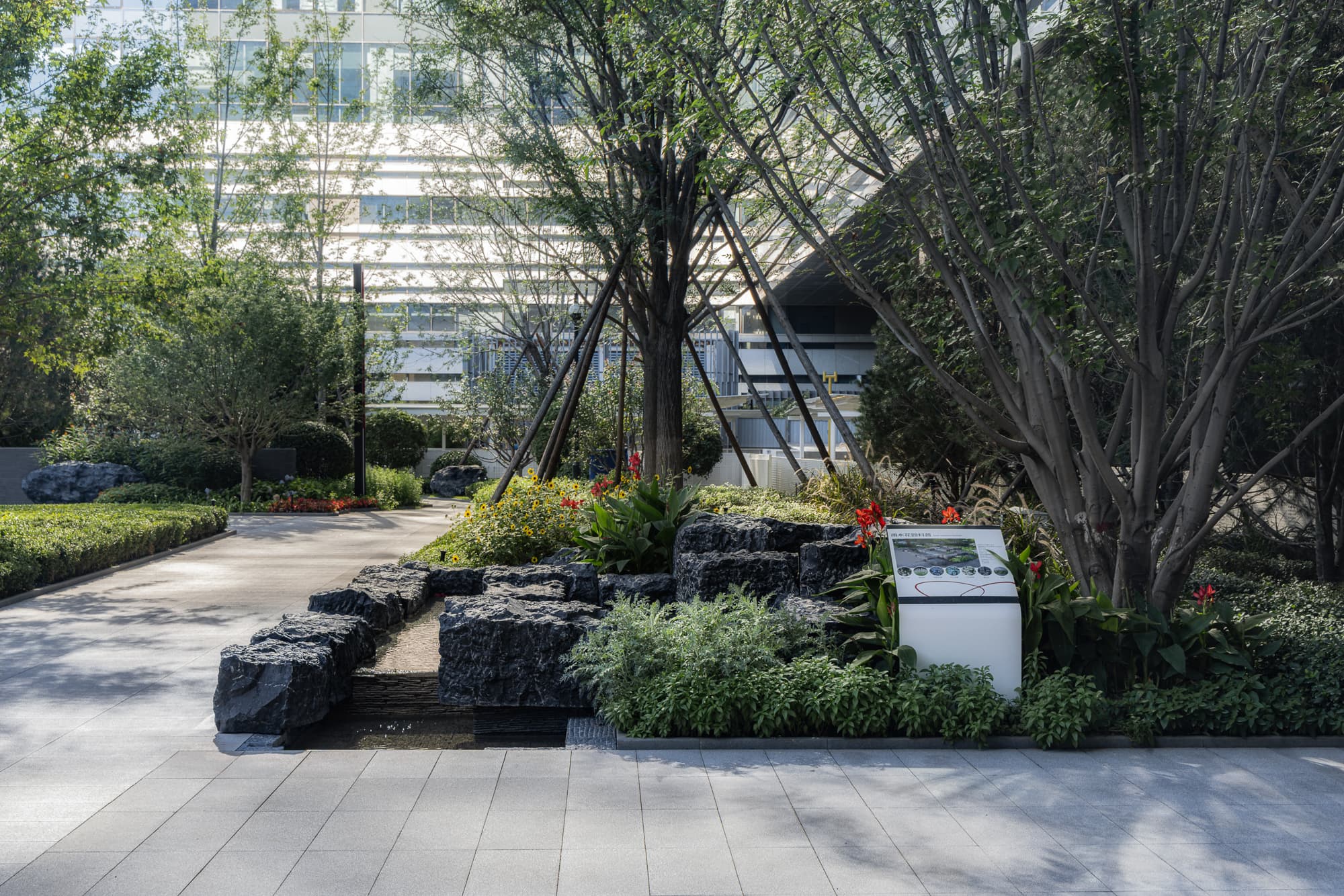 21 © 栾·摄影.jpg