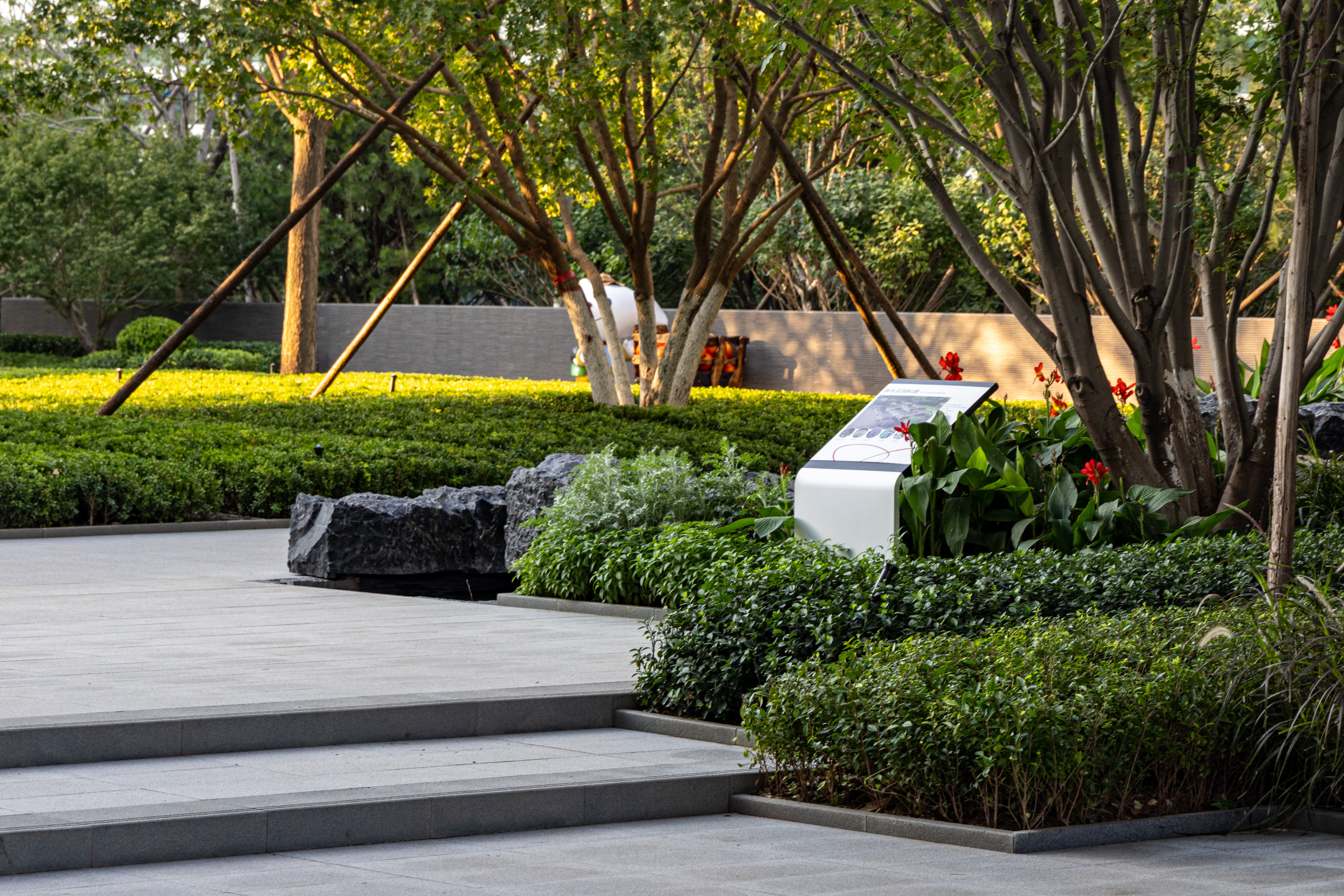 41 © 栾·摄影.jpg