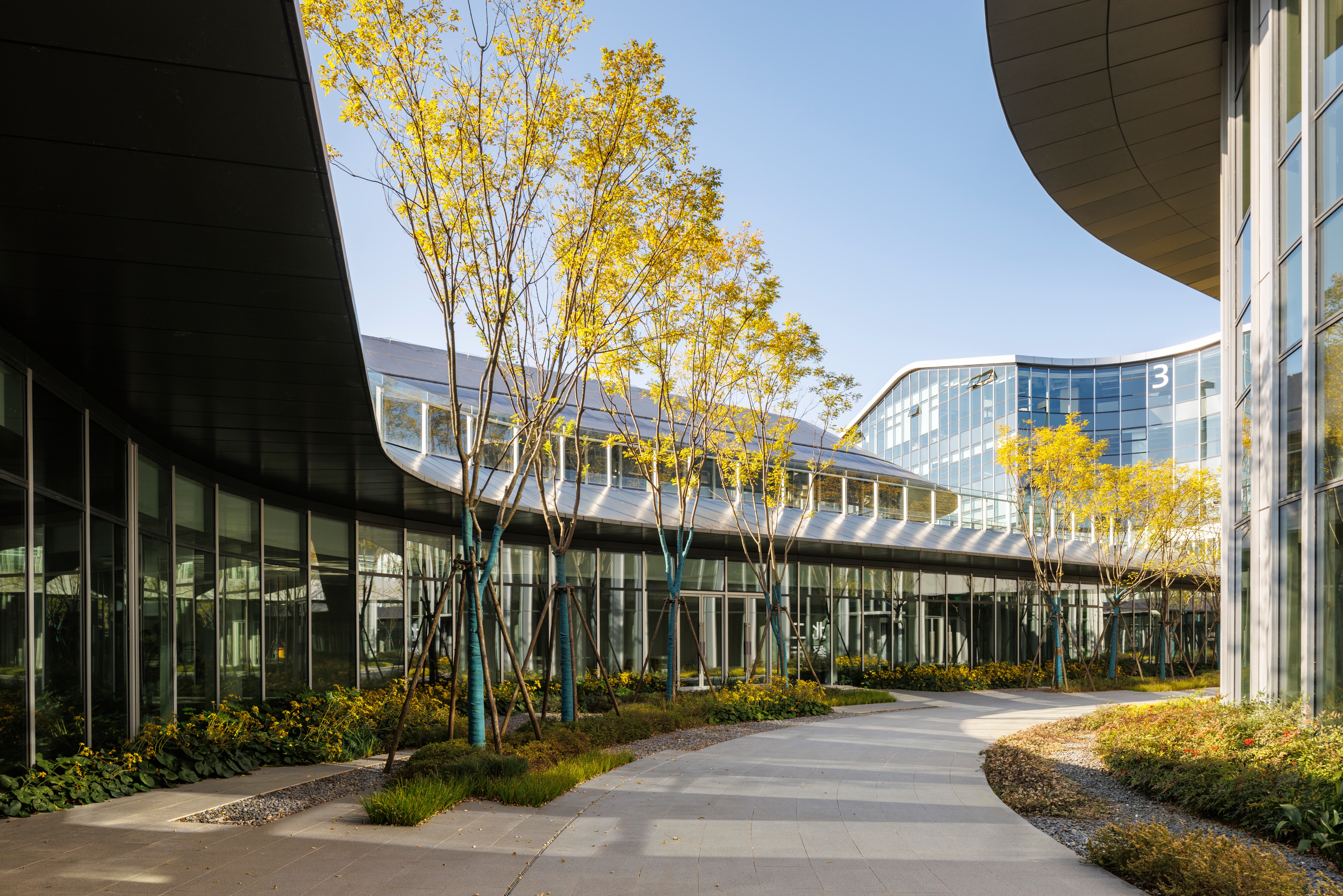 59 © HOLI河狸景观摄影 (1).jpg