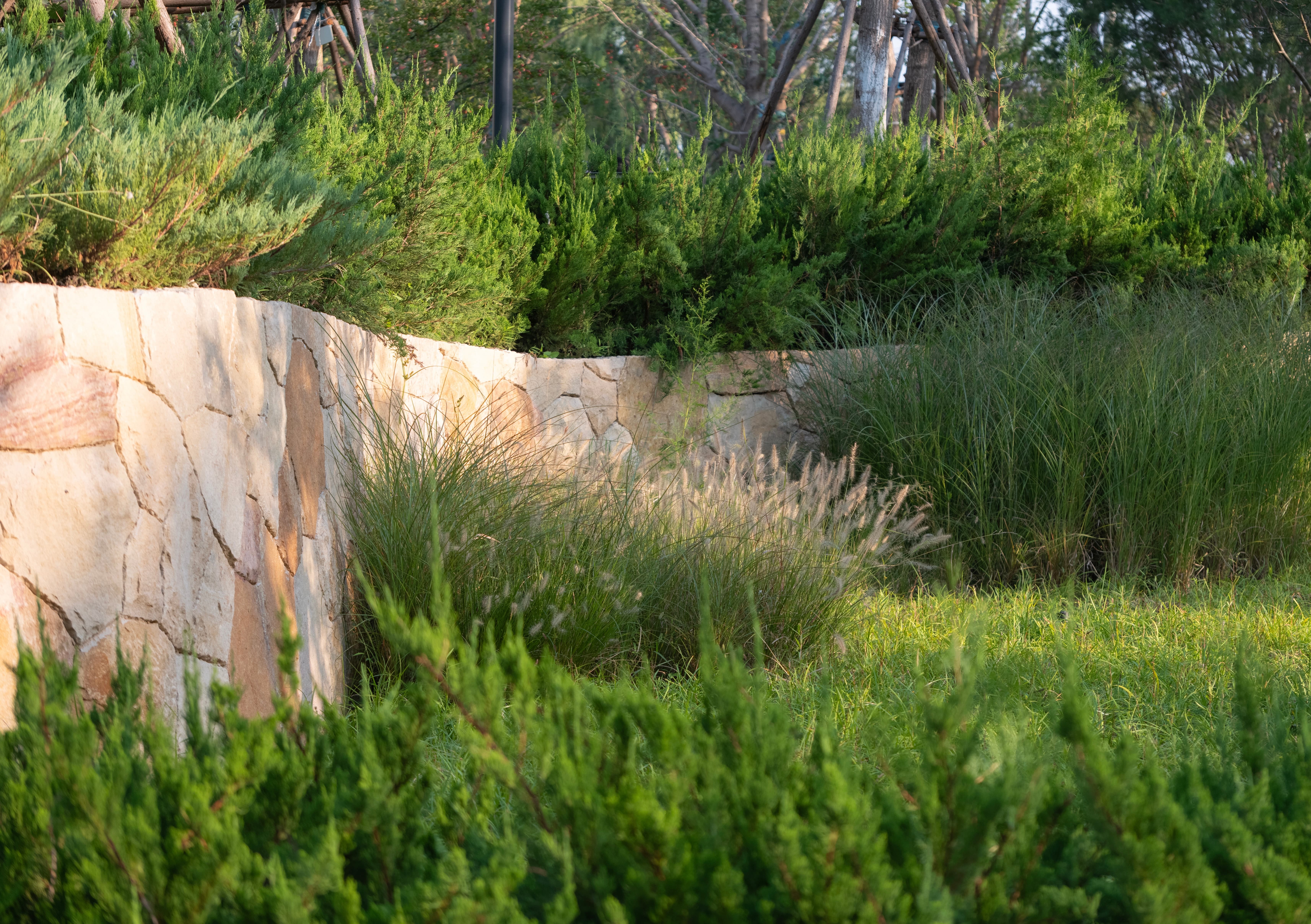 51 © HOLI河狸景观摄影.jpg